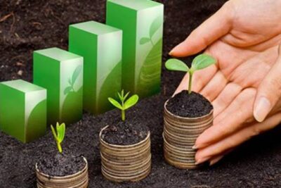 Los efectos económicos de los impuestos medioambientales y tasas verdes en España